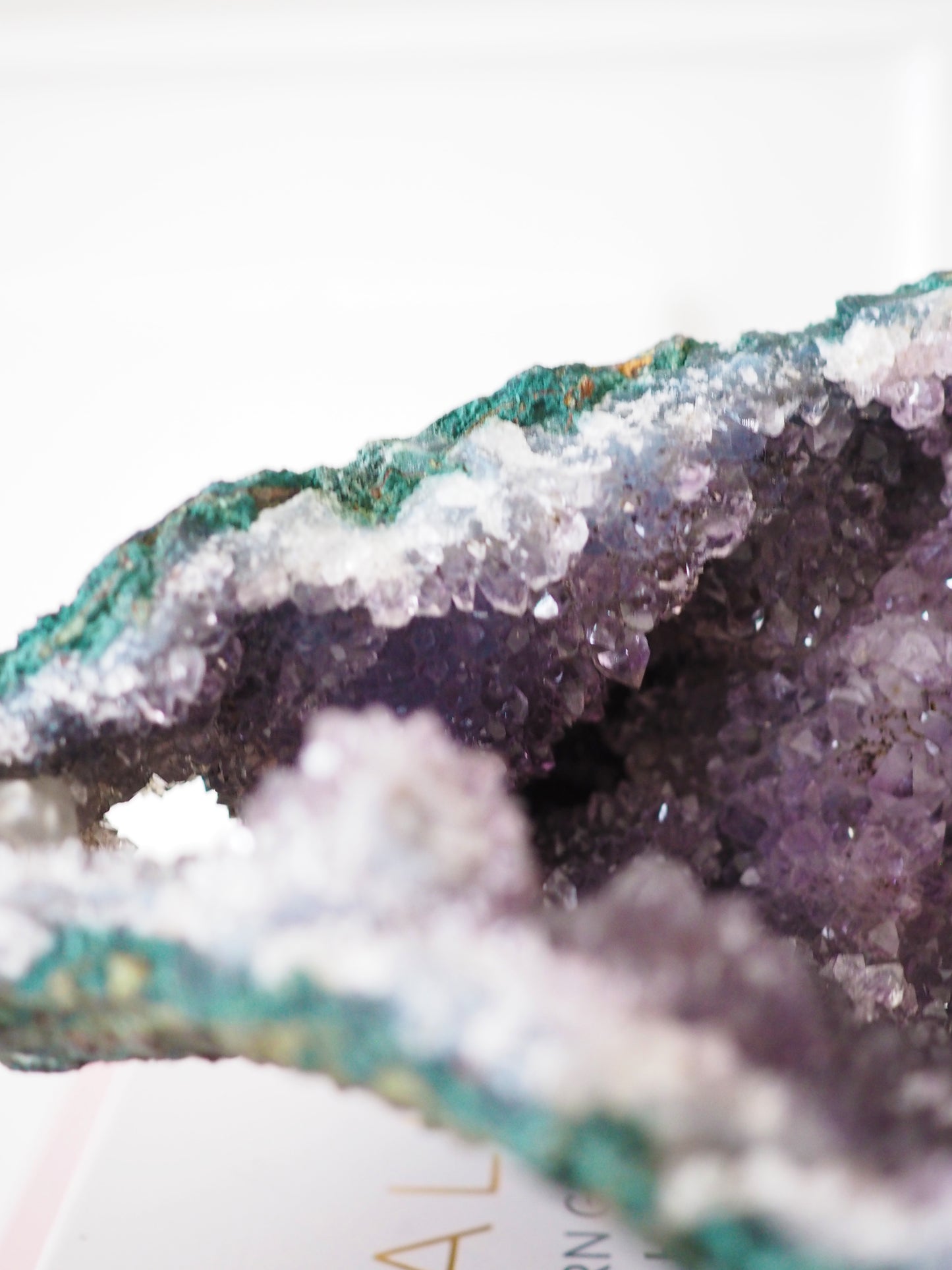 Auster Amethyst Cluster  ca 24 cm [xx] - aus Brasilien