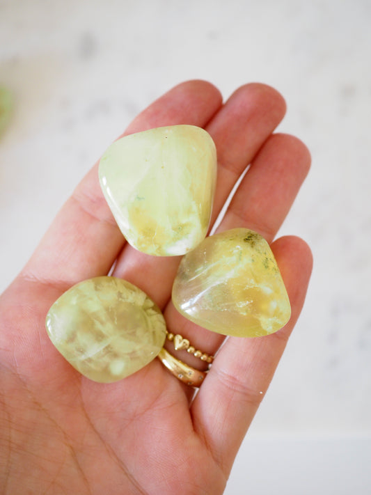 Prehnit Trommel Stein . Prehnite Tumble ca. 1-3 cm - aus Australien HIGH QUALITY