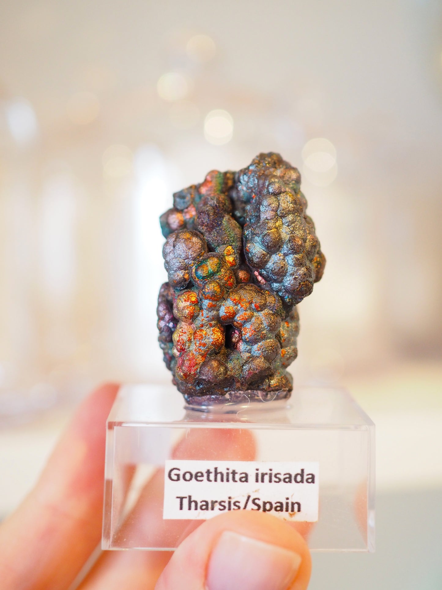 Irrisierende Goethit . Iridescent Goetite Specimen [ 2 ] ca. 4 cm - aus Tharsis . Spanien