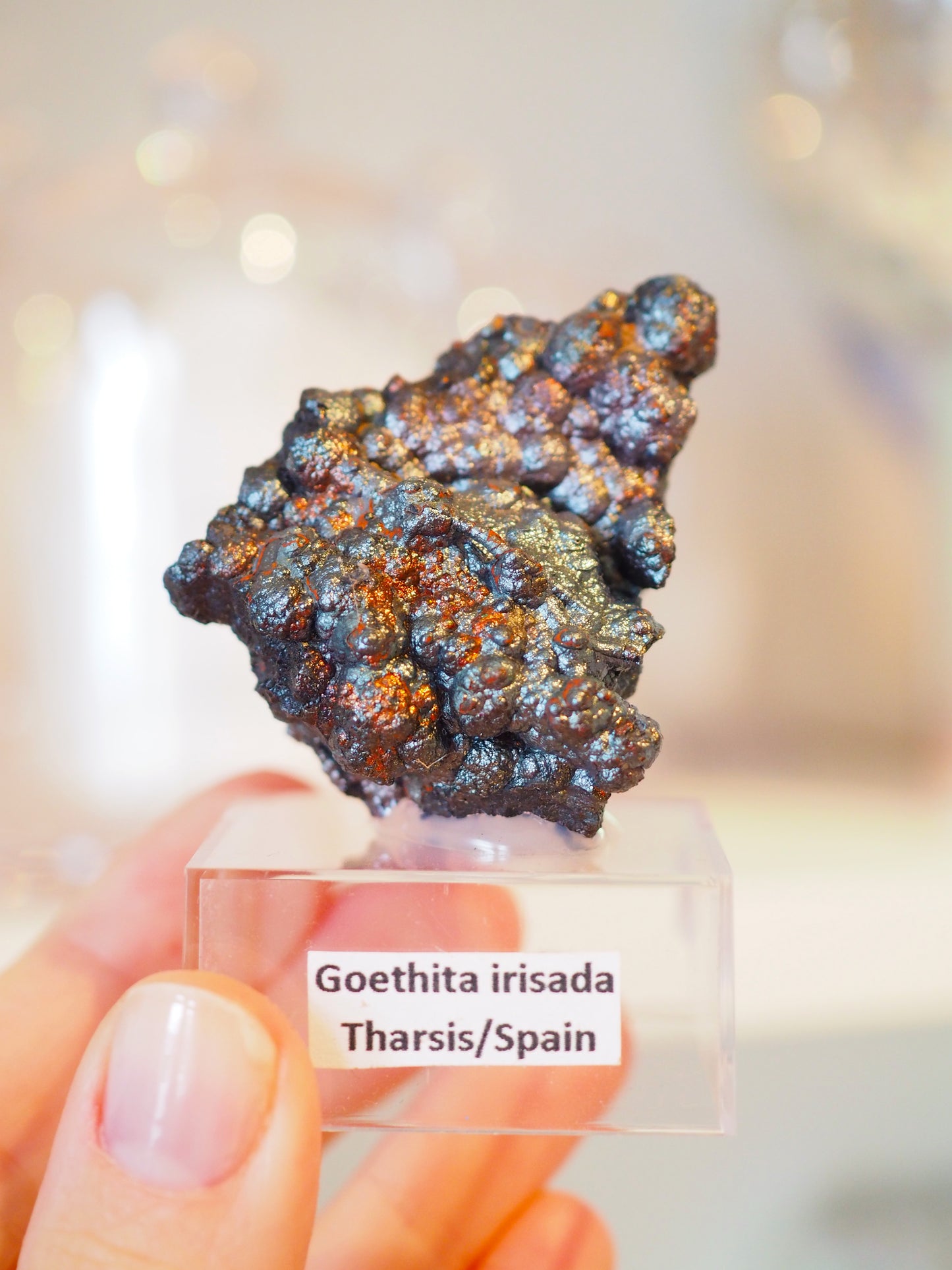 Irrisierende Goethit . Iridescent Goetite Specimen [ 4 ] ca. 4.5 cm - aus Tharsis . Spanien (Kopie)