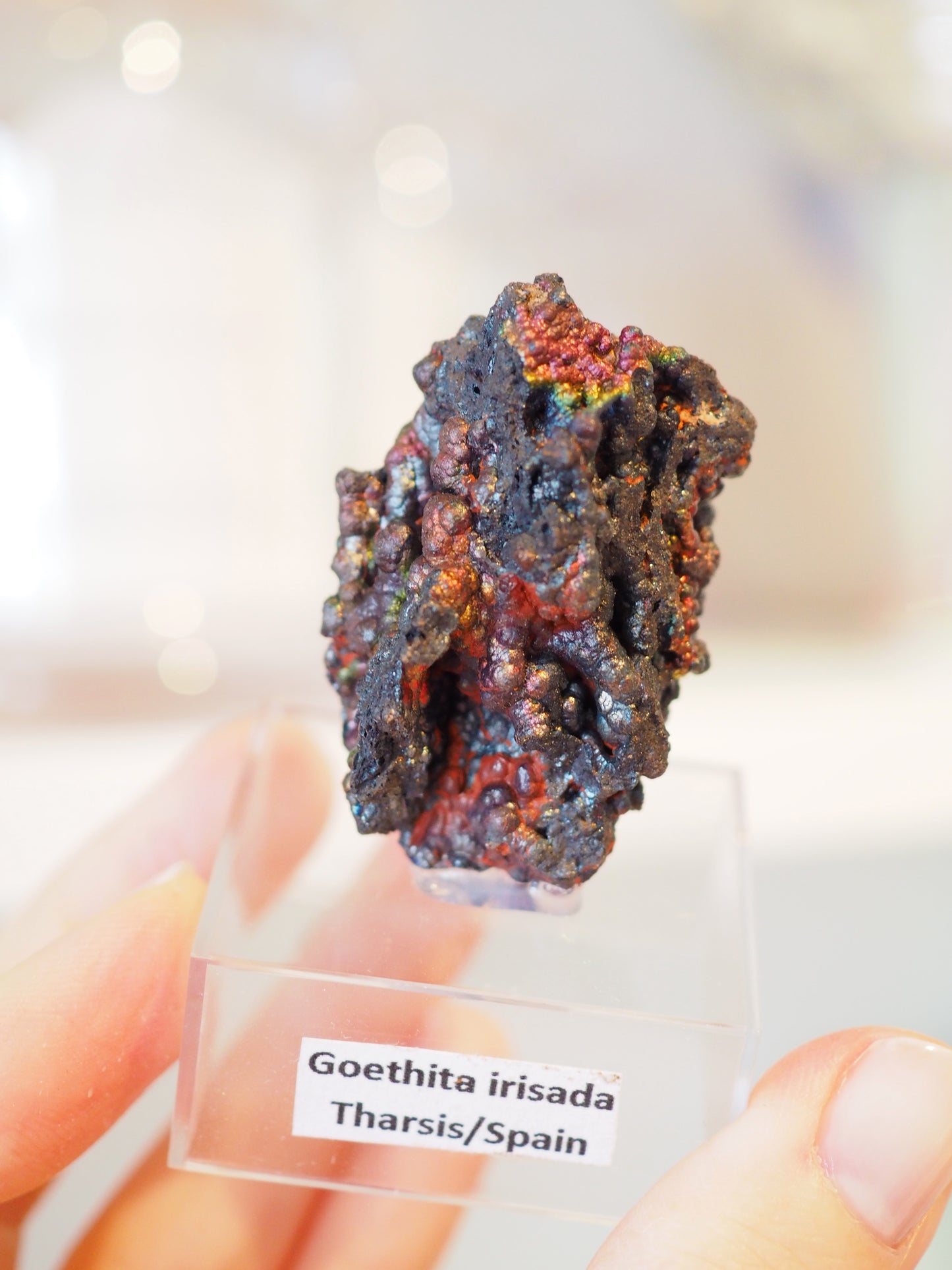 Irrisierende Goethit . Iridescent Goetite Specimen [ 11 ] ca. 4.5 cm - aus Tharsis . Spanien