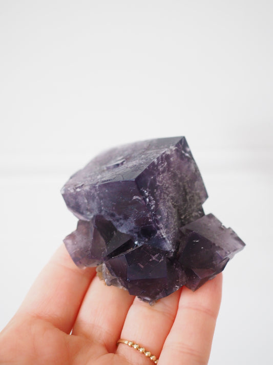 Fluorit - aus Purple Rain Pocket. Lady Annabella Mine. Eastagte. Weardale Co. Durham. England