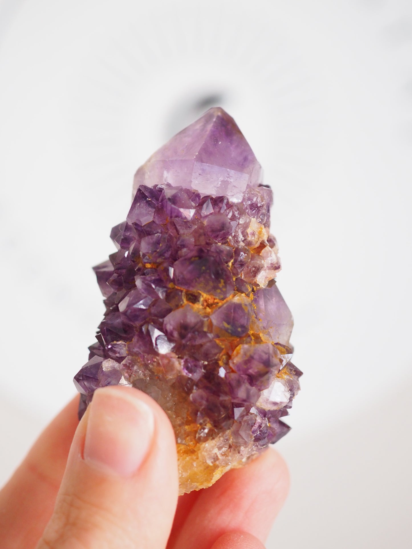 Kaktus Quarz Deep Violett . Spirit Quarz - aus Boekenhouthoek. Mpumalanga. Südafrika HIGH QUALITY