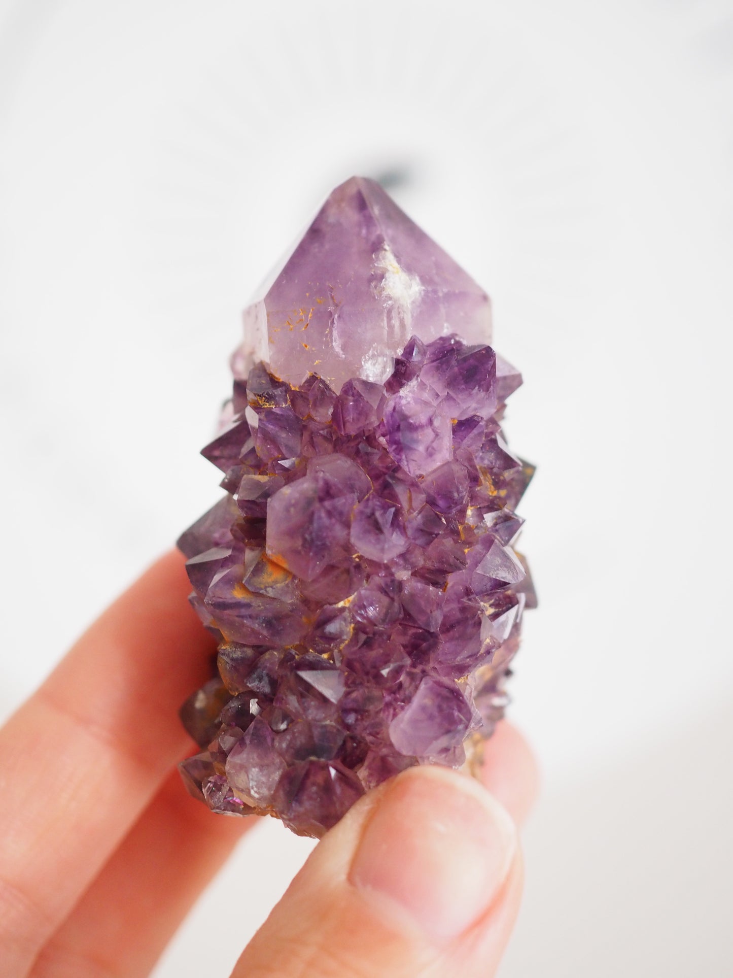 Kaktus Quarz Deep Violett . Spirit Quarz - aus Boekenhouthoek. Mpumalanga. Südafrika HIGH QUALITY