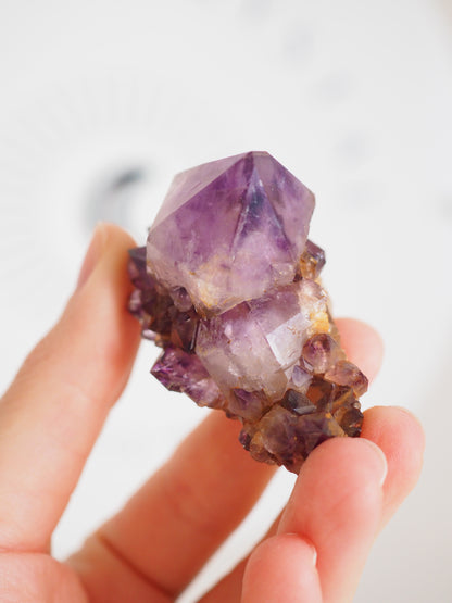 Kaktus Quarz Deep Violett . Spirit Quarz - aus Boekenhouthoek. Mpumalanga. Südafrika HIGH QUALITY