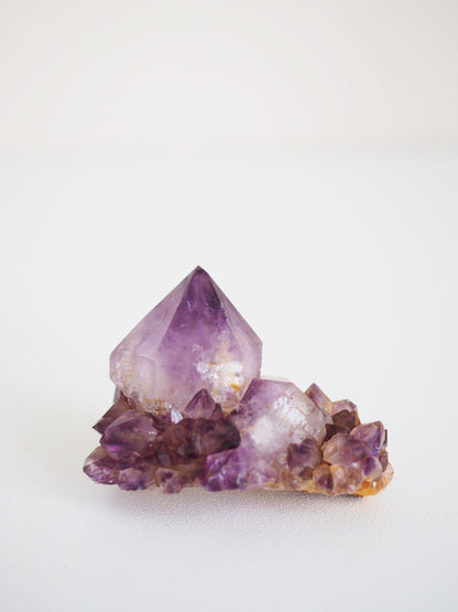 Kaktus Quarz Deep Violett . Spirit Quarz - aus Boekenhouthoek. Mpumalanga. Südafrika HIGH QUALITY