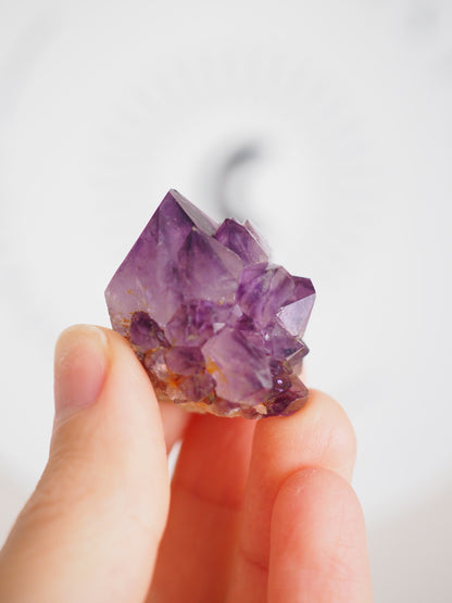 Kaktus Quarz Deep Violett . Spirit Quarz - aus Boekenhouthoek. Mpumalanga. Südafrika HIGH QUALITY