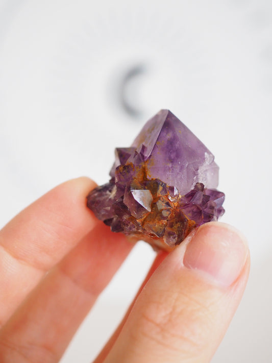 Kaktus Quarz Deep Violett . Spirit Quarz - aus Boekenhouthoek. Mpumalanga. Südafrika HIGH QUALITY