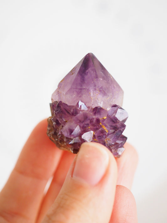 Kaktus Quarz Deep Violett . Spirit Quarz - aus Boekenhouthoek. Mpumalanga. Südafrika HIGH QUALITY