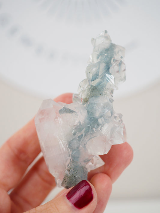 Grüner Chalcedon mit Apophylite Stab - aus Indien RARE