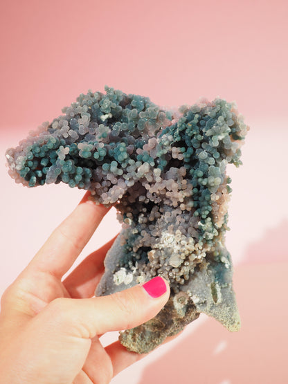 Trauben Achat / Grape Agate  . Traubenachat  Bicolor "LE DOLPHIN" 15 cm 578 g - aus Mamuju Area West-Sulawesi Indonesien - High Quality RARE COLOR