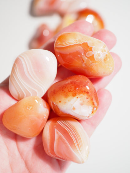 Aprikosen Achat Trommel Stein . Apricot Agate Tumble 2-3cm - aus Botswana HIGH QUALITY