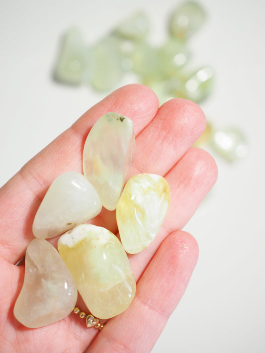 Prehnit Trommel Stein . Prehnite Tumble ca. 1-3 cm [3 Stück] - aus Australien HIGH QUALITY